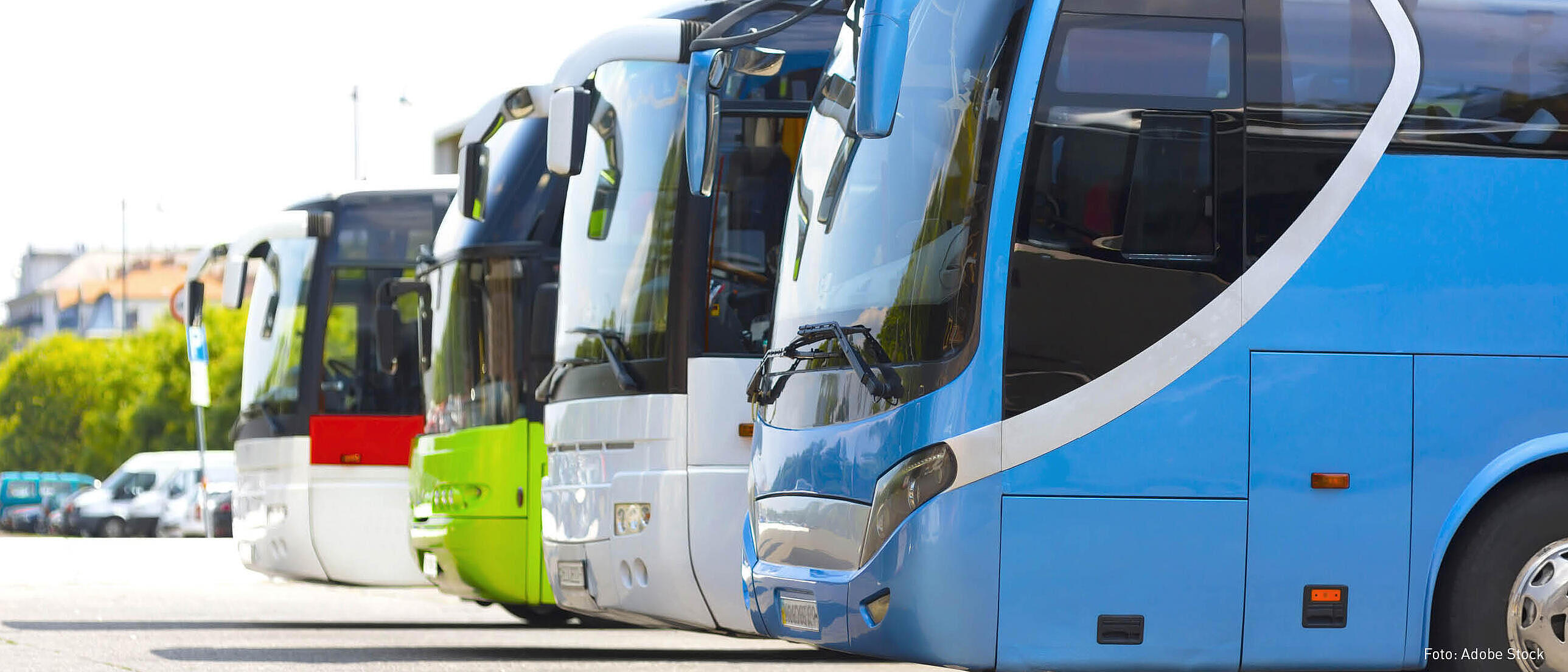 Fünf Reisebusse stehen nebeneinander