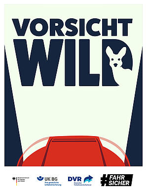 Illustration: Autoscheinwerfer im Licht der Text Vorsicht Wild. Im D von Wild steht ein Reh