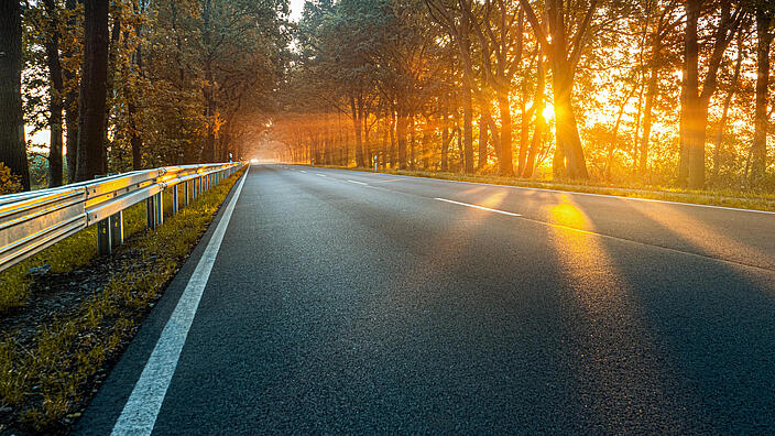 Morgenlicht auf der Landstraße