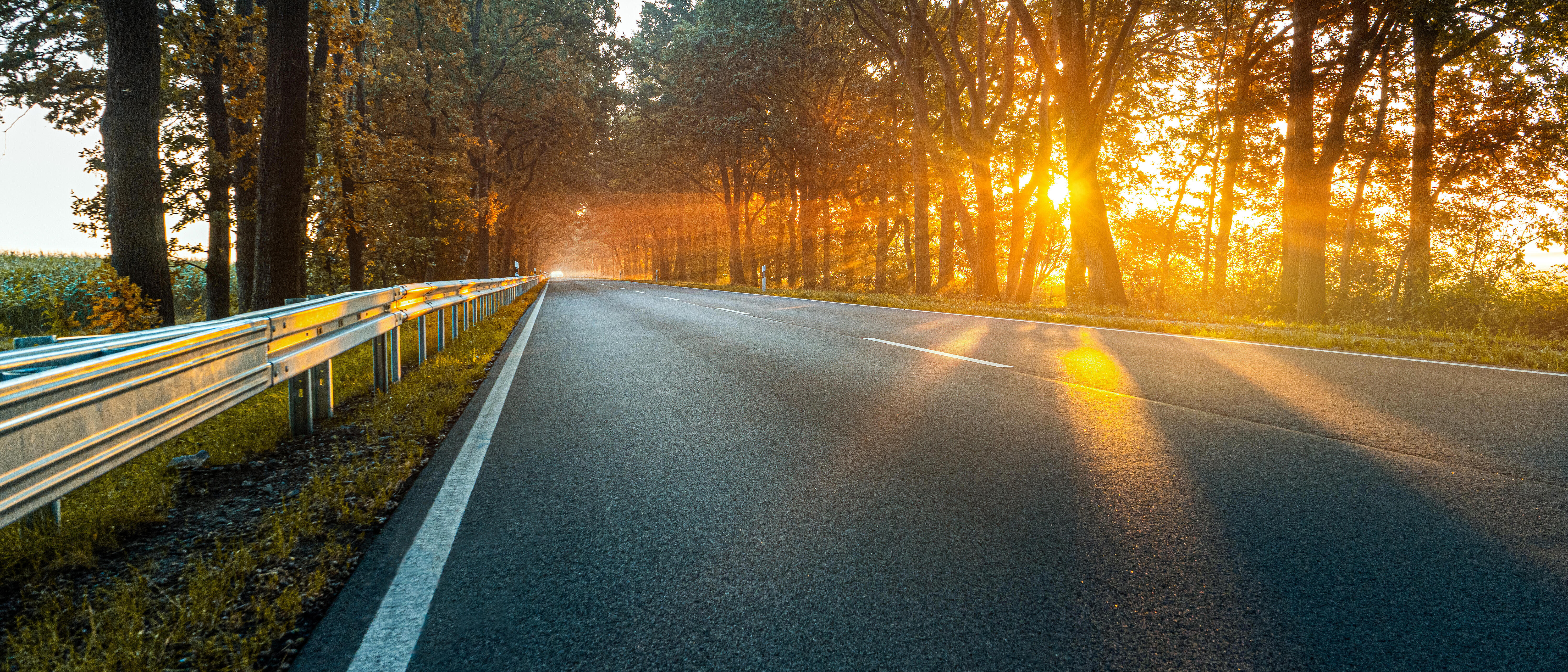 Morgenlicht auf der Landstraße