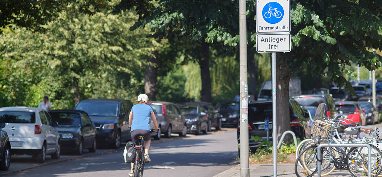 Ein Radfahrer von hinten. Er fährt in eine Fahrradstraße