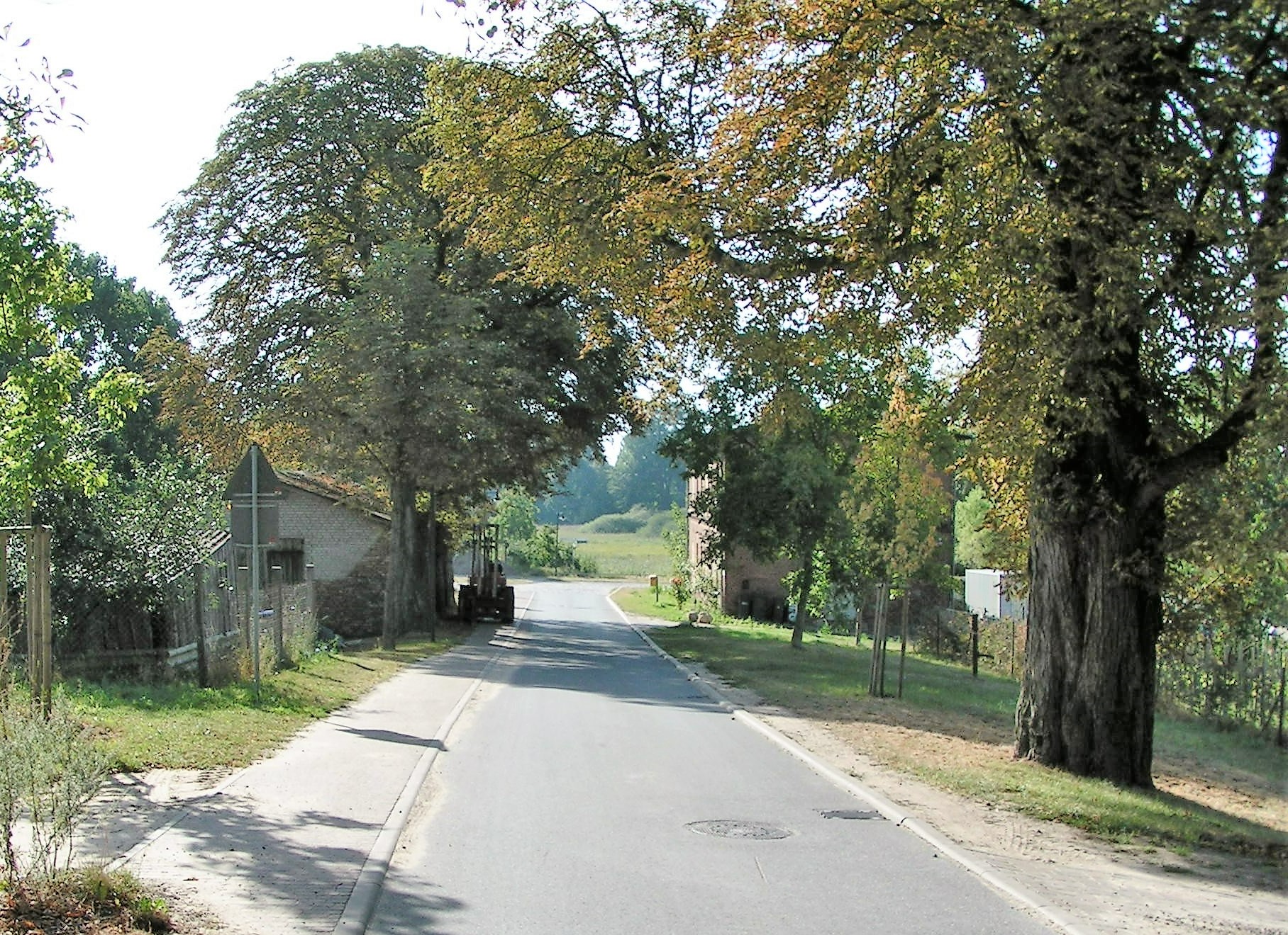 Bild 7: Westliche Ortszufahrt: schmale Asphaltfahrbahn von 3,50 m Breite und einseitig 1,50 m breiter, im seltenen Kfz-Begegnungsfall überfahrbarer Gehweg