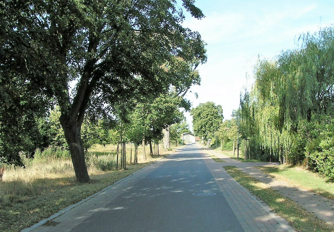 Bild 13: Östlicher Abschnitt: schmale Asphaltfahrbahn mit beidseitig mehrzeiligen Betonsteinpflasterstreifen und einseitig begleitendem Gehweg, der durch einen schmalen Grünstreifen abgesetzt ist und auf der Siedlungsseite (Neubaugebiet nördlich der Dorfstraße, im Bild rechts durch den Baumbestand verdeckt) verläuft; im Hintergrund die Rechtskurve, hinter der der zentrale Angerbereich beginnt