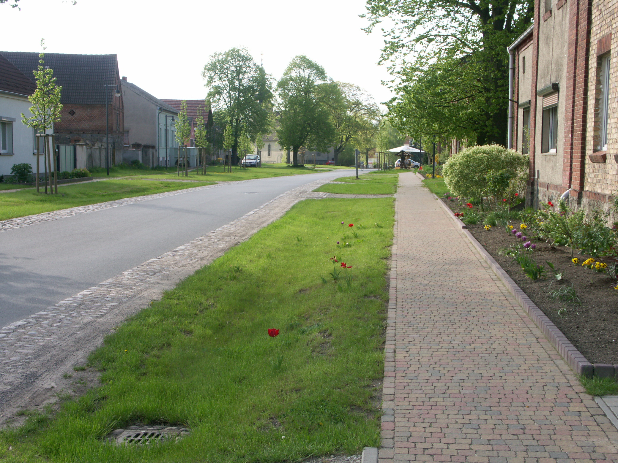 Bild 25: Dörflicher Straßenraum mit ökologischer Zusatzfunktion: Grünstreifen zwischen Fahrbahn und Gehweg geben dem Straßenraum einen dörflichen Charakter und dienen gleichzeitig als Versickerungsmulden, in die Mulden integrierte Abläufe in den Regenwasserkanal sichern die Entwässerung auch bei Starkregenereignissen